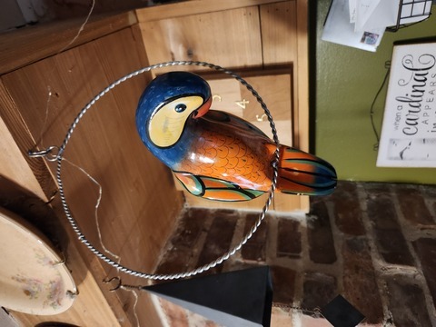 Mexican Orange Parrott